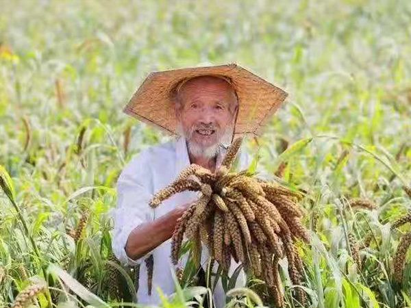 小米成長(zhǎng)