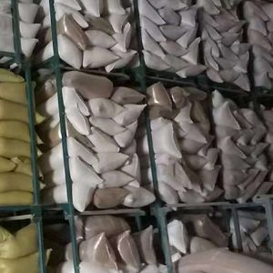 冷藏儲(chǔ)存庫(kù)